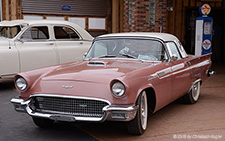 Thunderbird | AZ-ECODE57 | Ford | VALLE, AZ 21.09.2015