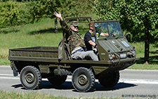 700AP Haflinger | AG 138015 | Steyr Puch | B&OUML;ZBERG 13.08.2016