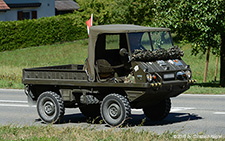 700AP Haflinger | AG 205527 | Steyr Puch | B&OUML;ZBERG 13.08.2016