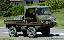 700AP Haflinger | AG 8918 | Steyr Puch | B&OUML;ZBERG 13.08.2016