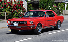 Mustang GT | LU 36337 | Ford  |  built 1966 | STANSSTAD 08.06.2019