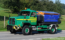 D 290 | ZH 51499 | Saurer  |  Peter Schmid, Bau-Dienstleistungen, Affoltern a. Albis | SURSEE 31.08.2019