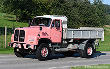 D 290B | SZ 36706 | Saurer  |  Emily | SURSEE 31.08.2019