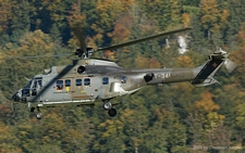 Eurocopter AS532 UL Cougar | T-341 | Swiss Air Force | MEIRINGEN (LSMM/---) 11.10.2005