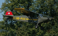 Piper PA-18-150 Super Cub | HB-PAX | private | KESTENHOLZ (----/---) 23.08.2009