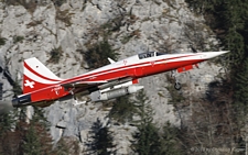 Northrop F-5E Tiger II | J-3089 | Swiss Air Force | MEIRINGEN (LSMM/---) 05.11.2010