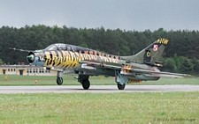 Sukhoi Su 22UM-3K | 707 | Polish Air Force  |  Tiger c/s | SWIDWIN (EPSN/---) 17.05.2012