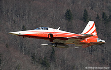 Northrop F-5E Tiger II | J-3089 | Swiss Air Force | MEIRINGEN (LSMM/---) 07.03.2014