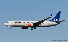 Boeing 737-86N | LN-RGC | SAS Scandinavian Airlines System | Z&UUML;RICH (LSZH/ZRH) 10.07.2019