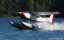 Cessna A185F Skywagon | C-GBTJ | Wilderness Seaplanes | PORT HARDY WATERDROME (----/---) 16.08.2023