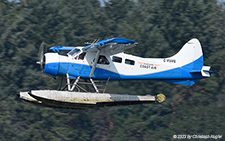 De Havilland Canada DHC-2 Beaver | C-FUVQ | Sunshine Coast Air | NANAIMO HARBOUR (CZNA/ZNA) 24.08.2023