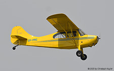 Aeronca Champion 7DC | CF-PRC | untitled | CZVL 24.07.2023