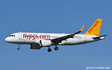 Airbus A320-251n | TC-NCH | Pegasus Airlines | AMSTERDAM-SCHIPHOL (EHAM/AMS) 28.08.2024